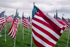 Field of small American flags on lawn