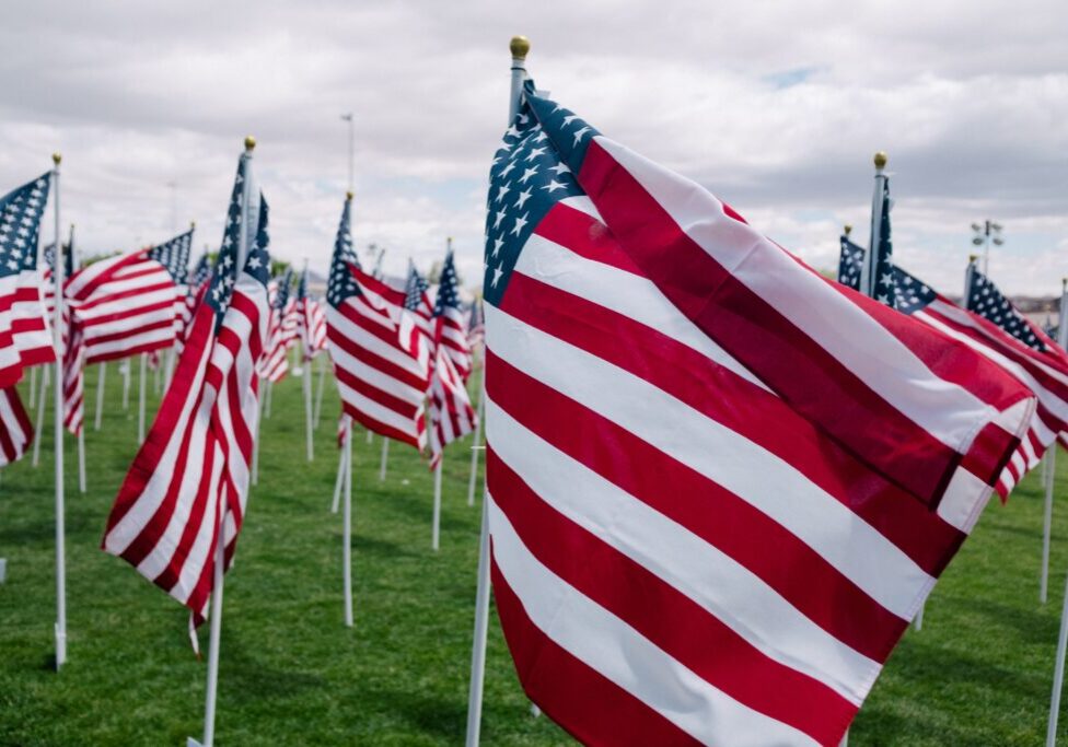 Field of small American flags on lawn