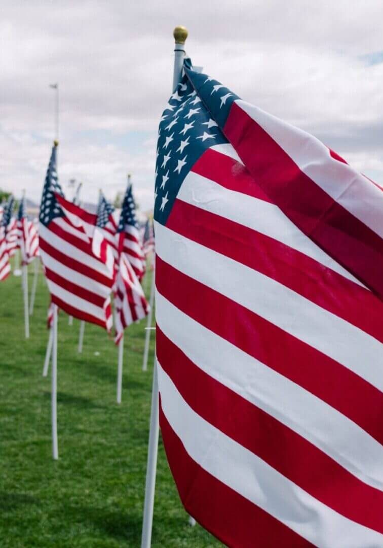 Field of small American flags on lawn